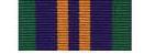 2011 ACSM Ribbon by Roll