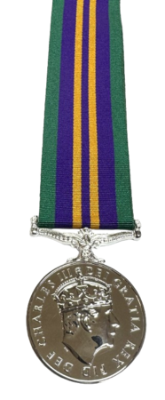 CIIIR ACSM 2011 Full Size Medal 