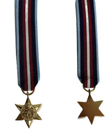 Arctic Star Miniature Medal