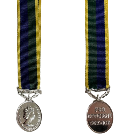 TAVR Miniature Medal  EIIR