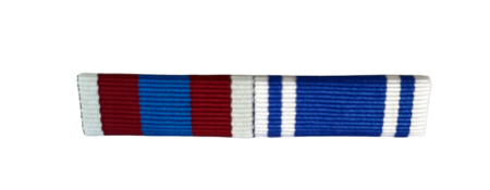 Queen`s Platinum Jubilee  + Police LS&GC Ribbon Bar