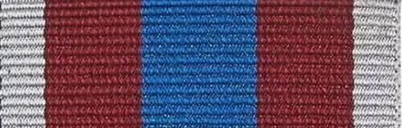 Queen's Platinum Jubilee PIN RIBBON BAR 