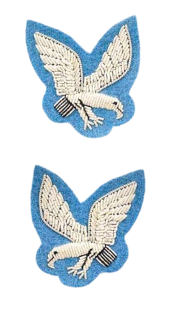 AAC  NCO`s Mess Dress Collar Badges