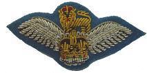 AAC Pilot Wings