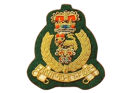 AGC Beret Badge (Green backing)