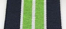 Colonial Fire LS&GC Ribbon