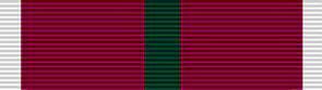 Ulster Defence Long Service Ribbon 10