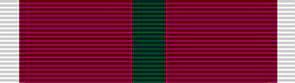 Ulster Defence Long Service Ribbon 10