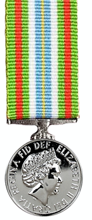 Ebola Full Size Medal 