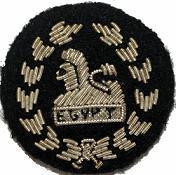 Rifles Back Badge