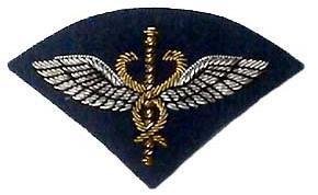 RAF Flight Medical Badge Mess  Dress