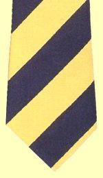 Princess of Wales Royal Regiment Tie