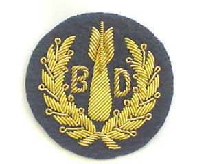 RAF Bomb Disposal Badge Mess Dress