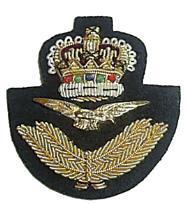 RAF Beret Badge