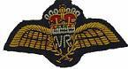 RAF VR Pilot Wings Mess Dress