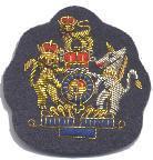 WO Badge RAF