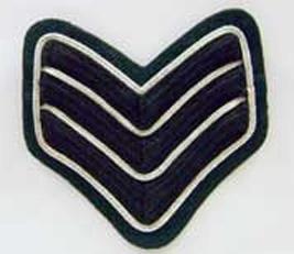 Sgt Stripes Rifles