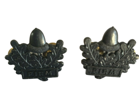 Mercian Regiment Bronze Collar Badges for NO2.