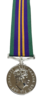 CIIIR ACSM 2011 Full Size Medal 