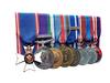 Full Size Medal Court Mounting 