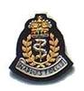 RAMC Beret Badges